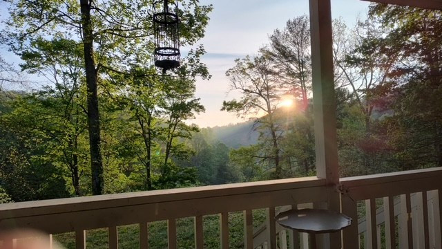 1364 Atoah Road Robbinsville, NC 28771 - Photo 67 of 71