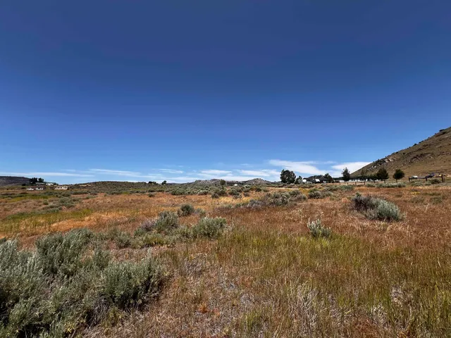 a view of a forest with mountains in the background
