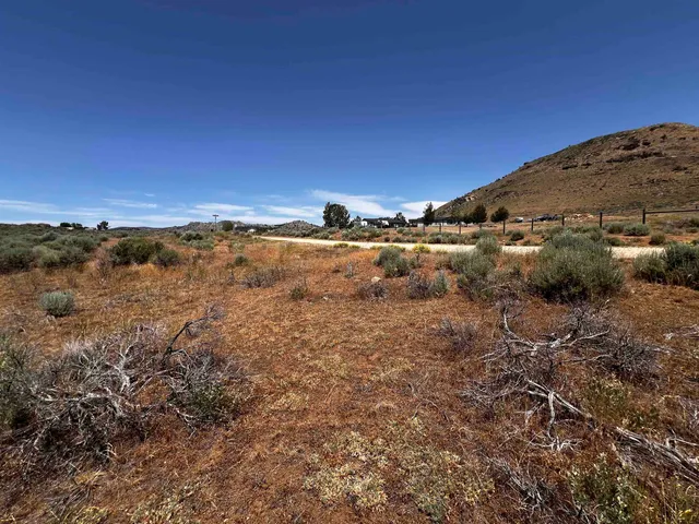 an aerial view of mountain with trees