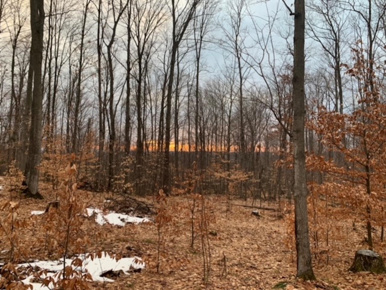 0 South Lime Lake Road, Unit LOT: B Cedar, MI 49621 - Photo 72 of 77 Gallery Image 72
