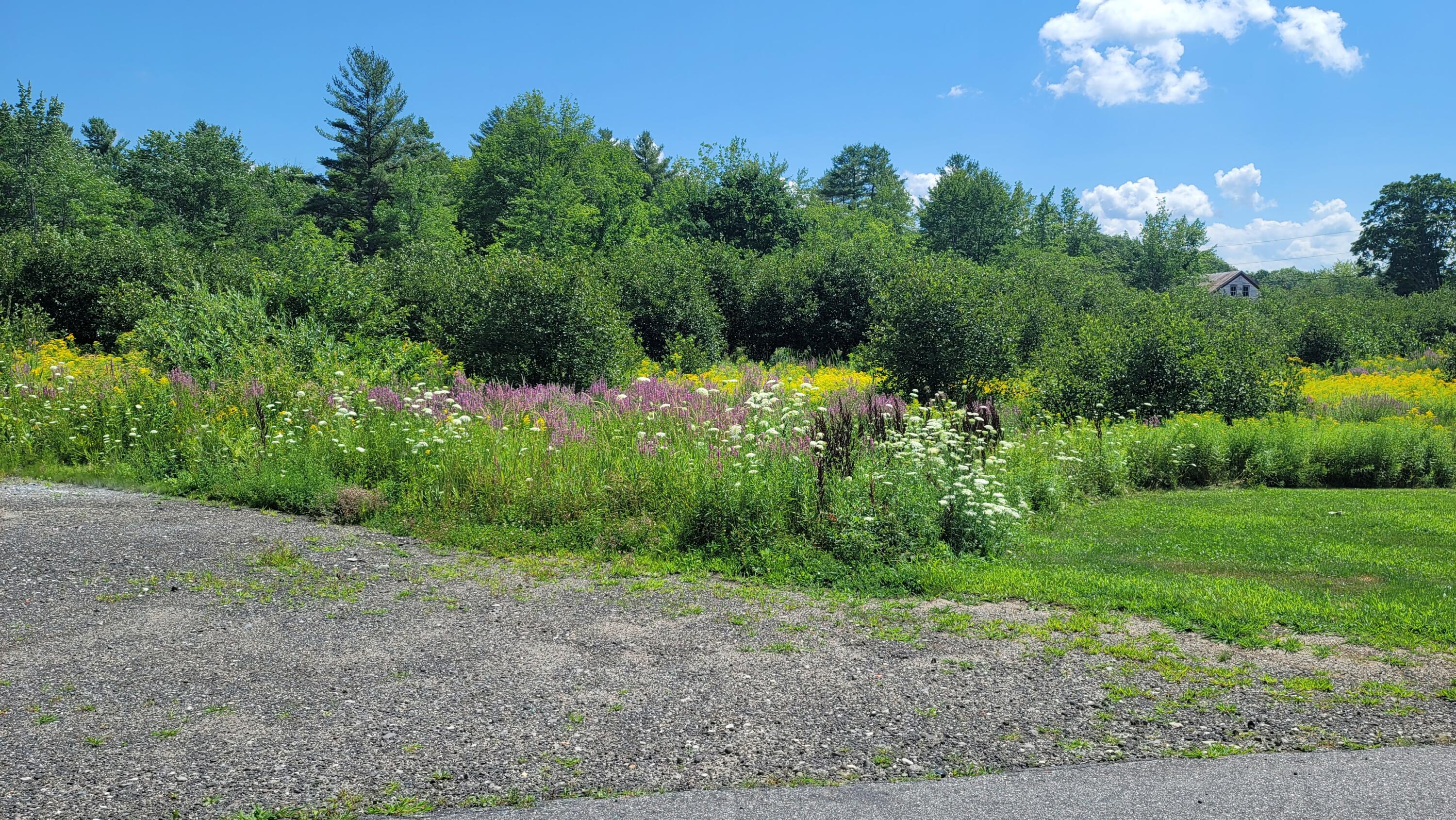 500 River Road Standish, ME 04084 - Photo 71 of 75 20220729_114740