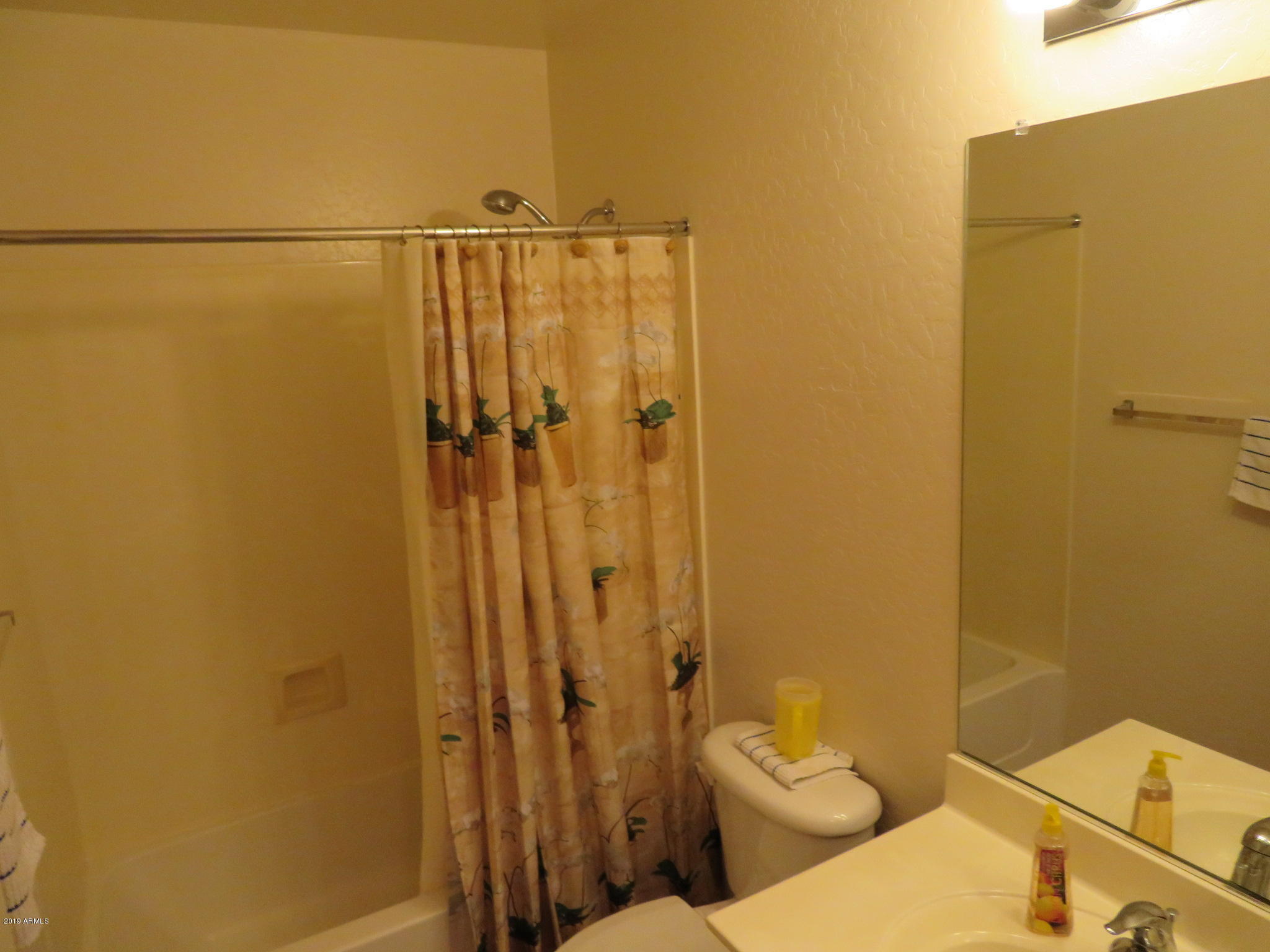17839 West Calavar Road Surprise, AZ 85388 - Photo 13 of 17 17839-Calavar 017