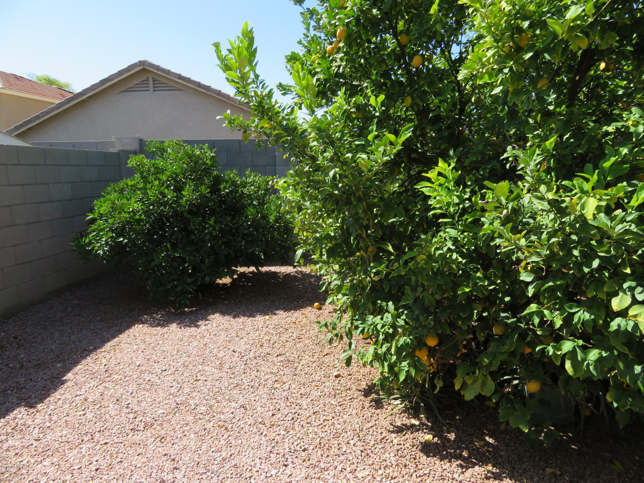 17839 West Calavar Road Surprise, AZ 85388 - Photo 17 of 17 17839-Calavar 013