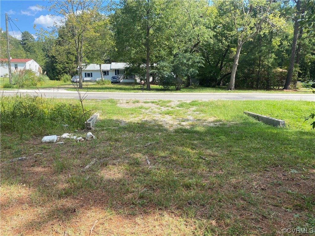 15918 Harrowgate Road Chester, VA 23831 - Photo 7 of 8 a view of a big yard with palm trees