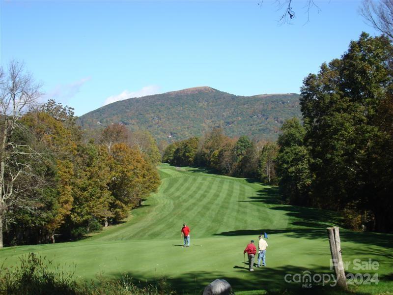 97-99 Goldenleaf Road, Unit 9799 Mars Hill, NC 28754 - Photo 13 of 25 Gallery Image 13