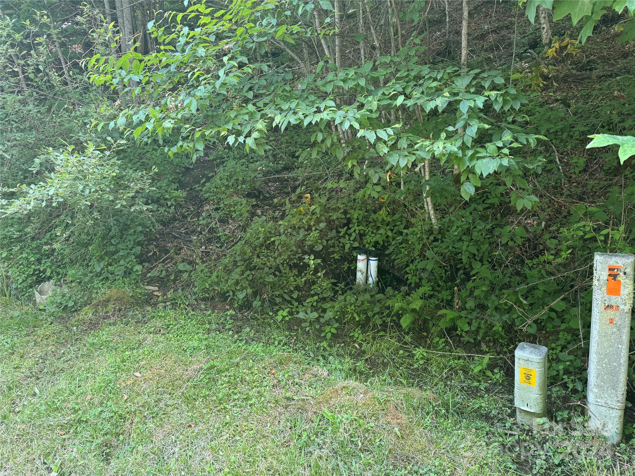 97-99 Goldenleaf Road, Unit 9799 Mars Hill, NC 28754 - Photo 4 of 25 Gallery Image 4