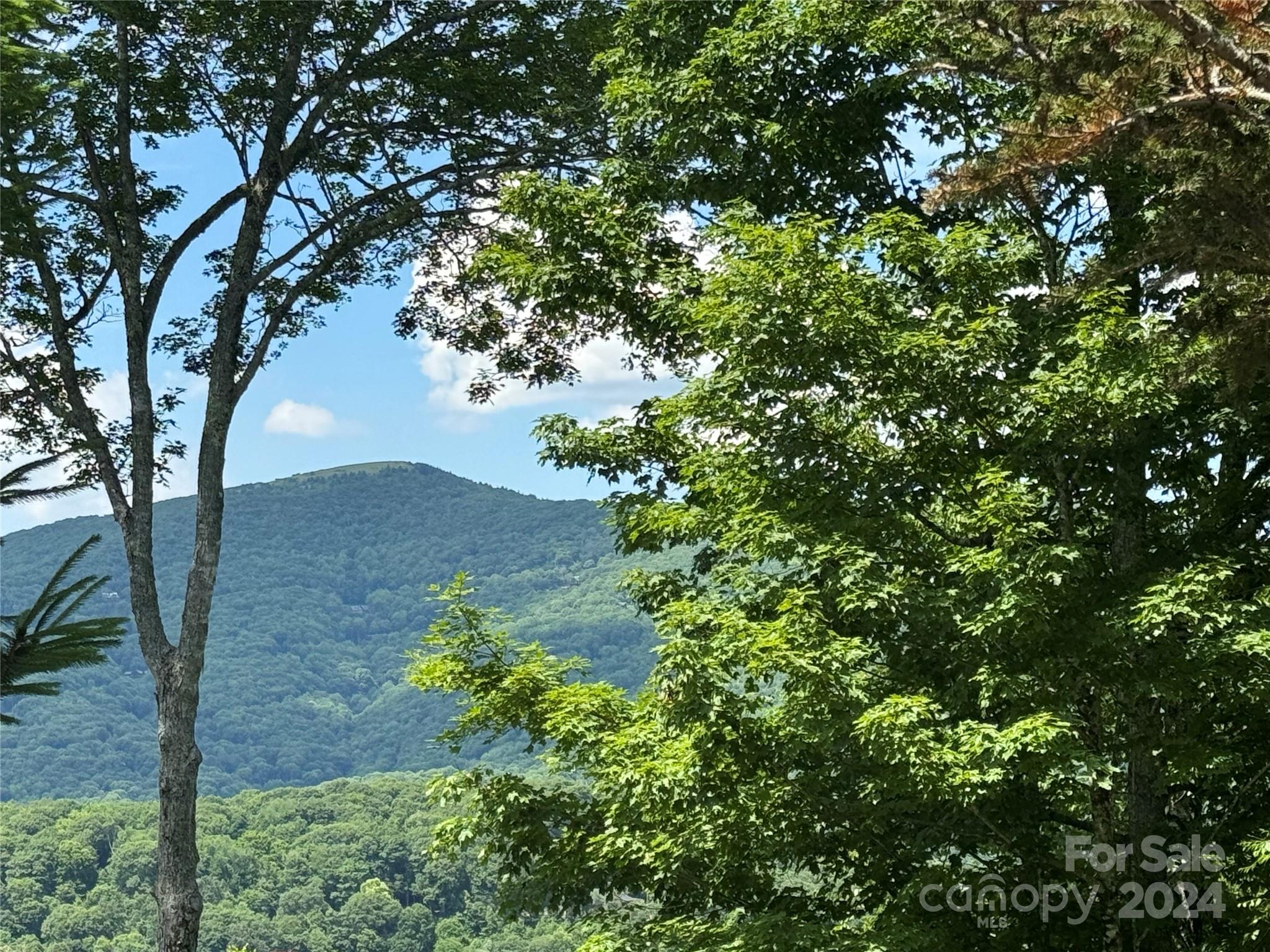97-99 Goldenleaf Road, Unit 9799 Mars Hill, NC 28754 - Photo 7 of 25 Gallery Image 7