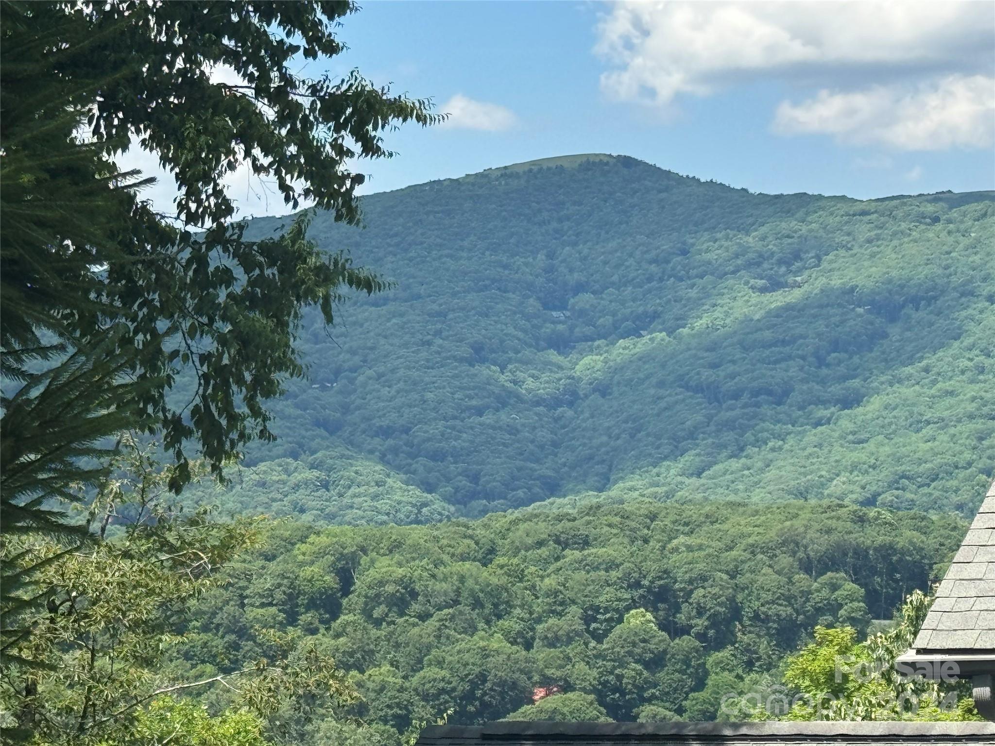97-99 Goldenleaf Road, Unit 9799 Mars Hill, NC 28754 - Photo 9 of 25 Gallery Image 9