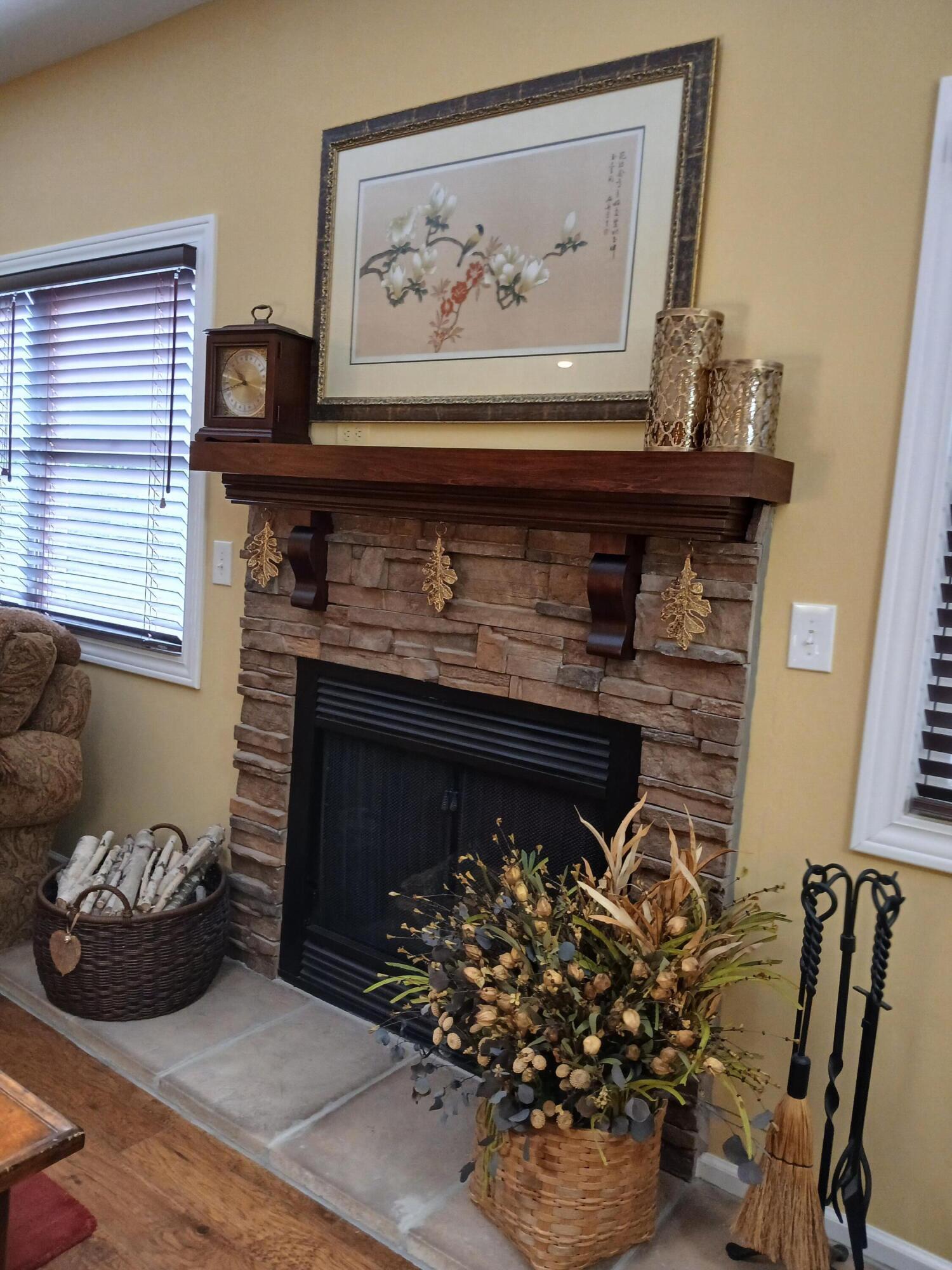 5376 West Oak Point Road Ludington, MI 49431 - Photo 17 of 43 Fire Place