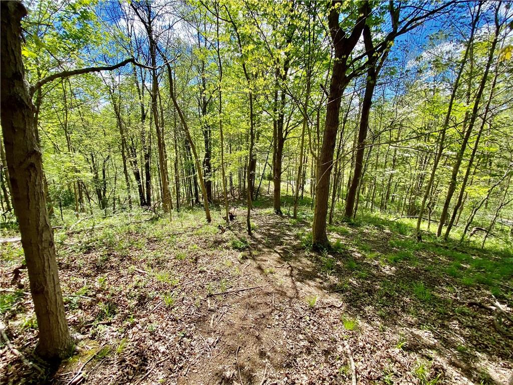 7930 Sargent Road Indianapolis, IN 46256 - Photo 14 of 19 Gallery Image 14