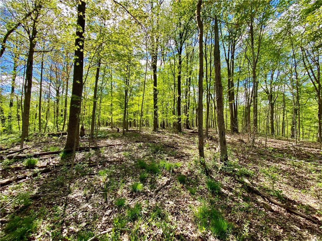 7930 Sargent Road Indianapolis, IN 46256 - Photo 7 of 19 Gallery Image 7