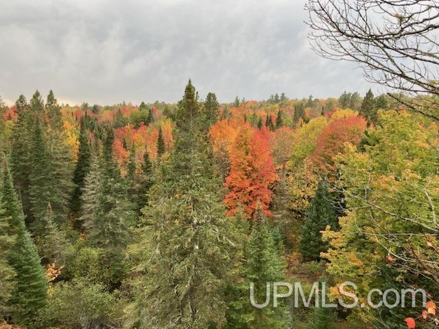 Tbd Co Rd 442 Road McMillan, MI 49853 - Photo 7 of 46 Gallery Image 7