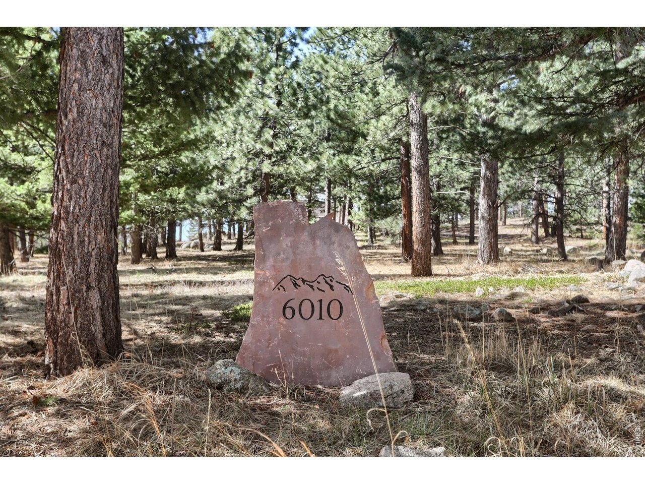 6010 Flagstaff Road Boulder, CO 80302 - Photo 5 of 41 Flat driveway for easy access.