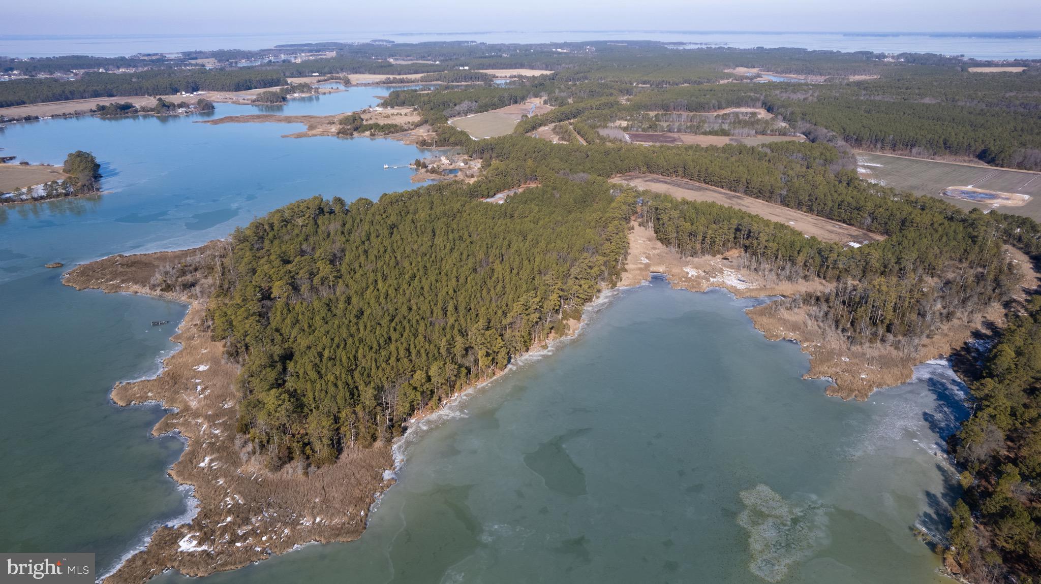 5635 Bar Neck Road Cambridge, MD 21613 - Photo 10 of 27 Gallery Image 10