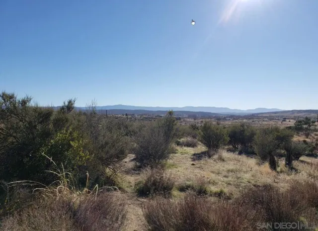 a view of a city with lush green forest