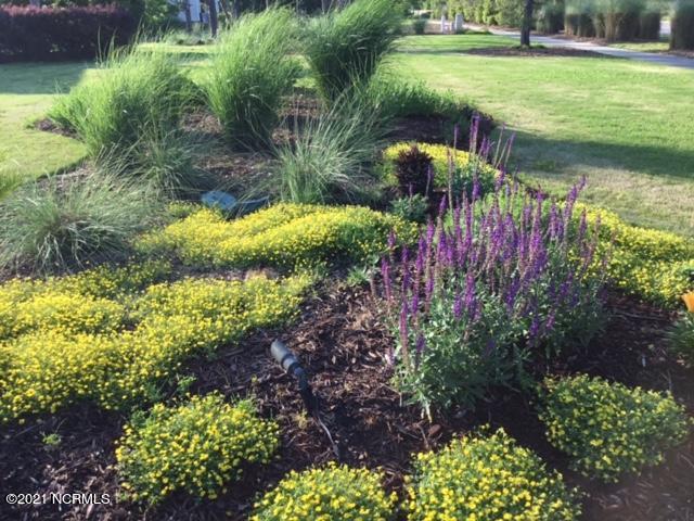 2000 Chartwell Court Leland, NC 28451 - Photo 56 of 57 Perennials