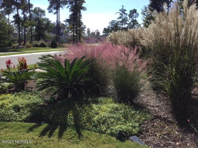 2000 Chartwell Court Leland, NC 28451 - Photo 57 of 57 Perennials