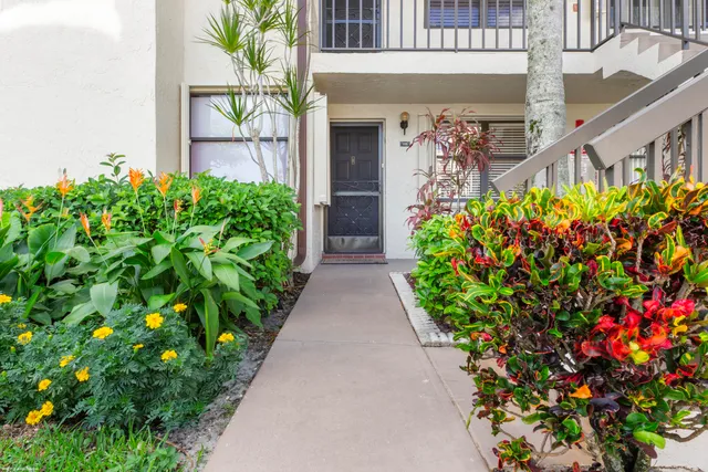 a view of a pathway with a flower garden