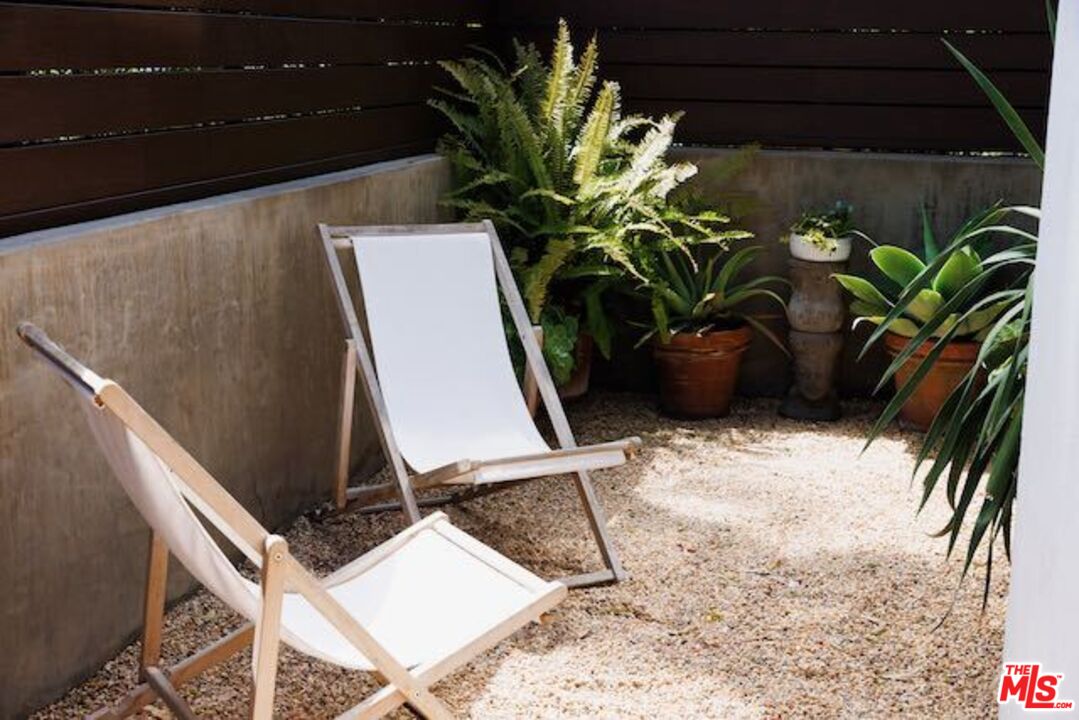 1523 Cabrillo Avenue Venice, CA 90291 - Photo 17 of 22 a view of a plant