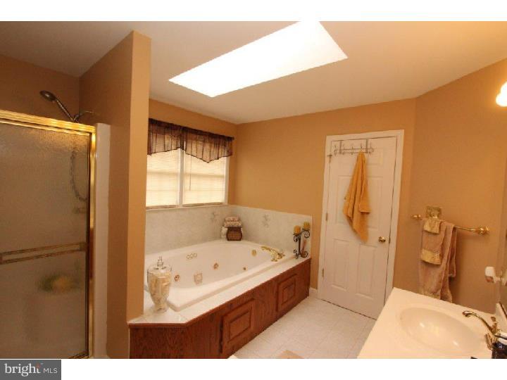 108 Atlantic Avenue Sinking Spring, PA 19608 - Photo 15 of 25 Master Bathroom