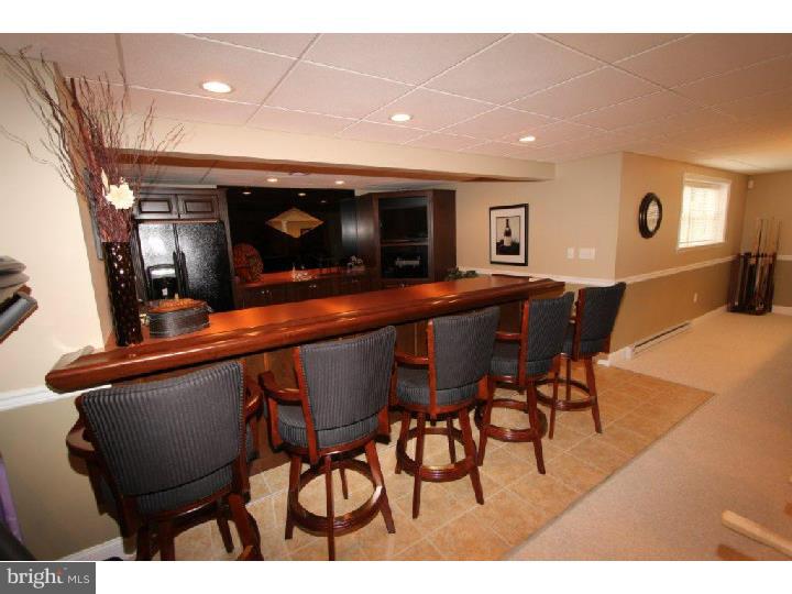 108 Atlantic Avenue Sinking Spring, PA 19608 - Photo 21 of 25 Wet Bar