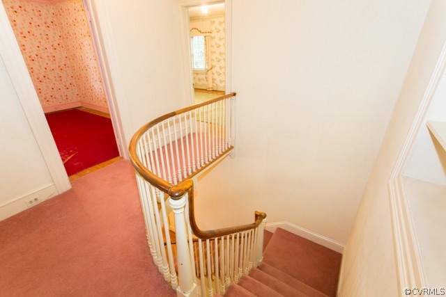 4 Calycanthus Road Richmond, VA 23221 - Photo 12 of 24 Gallery Image 12