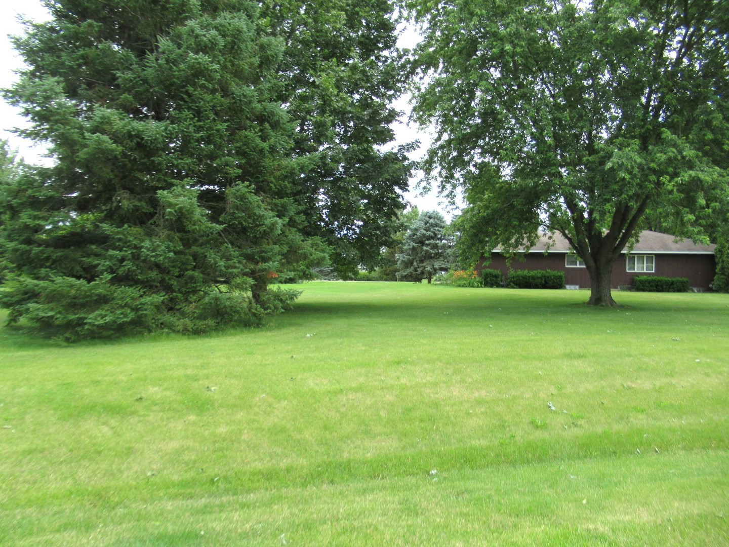 1N321 Country Life Drive Maple Park, IL 60151 - Photo 43 of 53