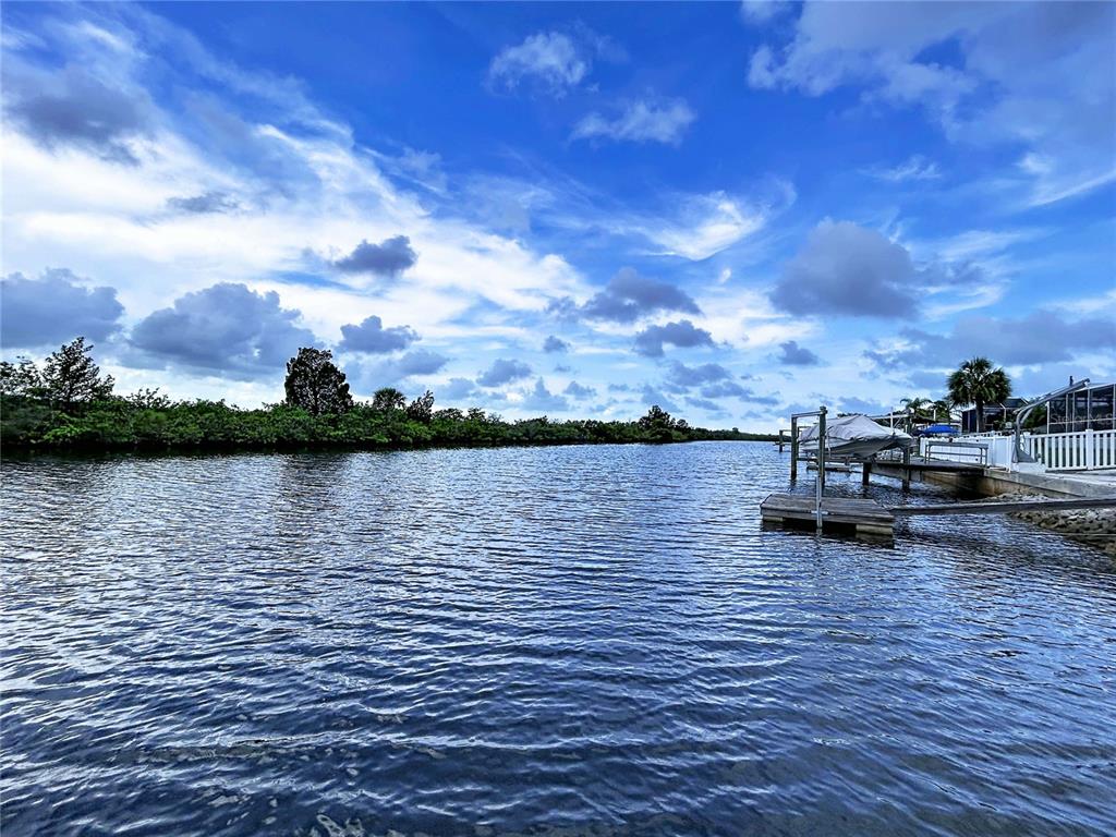 6536 Leeside Isle Hudson, FL 34667 - Photo 61 of 78