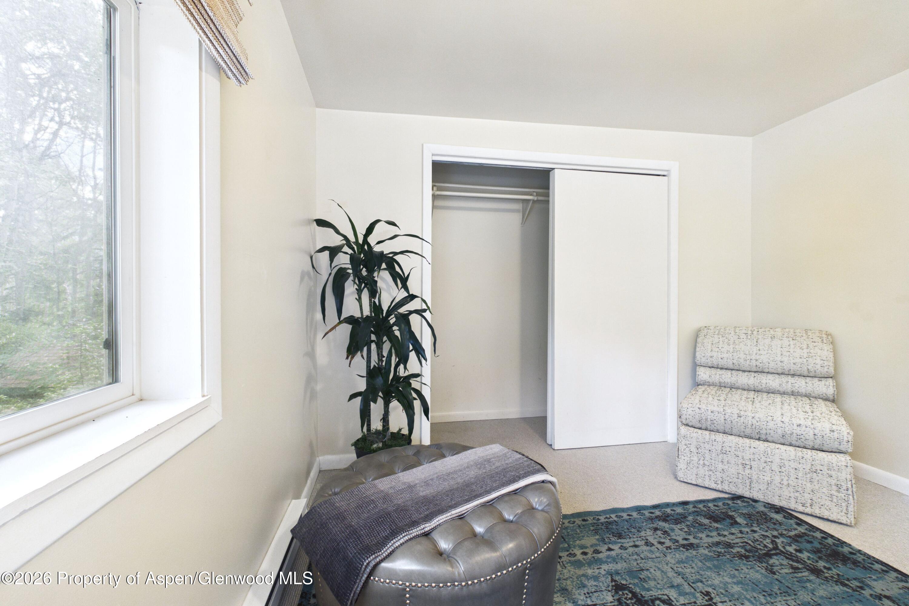 209 East Reds Road, Unit GUEST HOUSE Aspen, CO 81612 - Photo 15 of 19 209 E Reds GH - 09