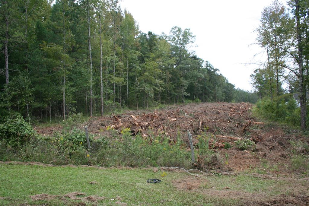 Lot 10 Rosemont Road Appling, GA 30802 - Photo 1 of 7 Main View