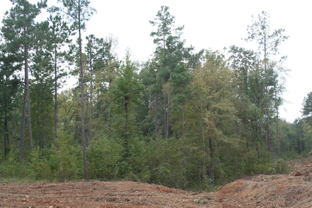 Lot 10 Rosemont Road Appling, GA 30802 - Photo 3 of 7