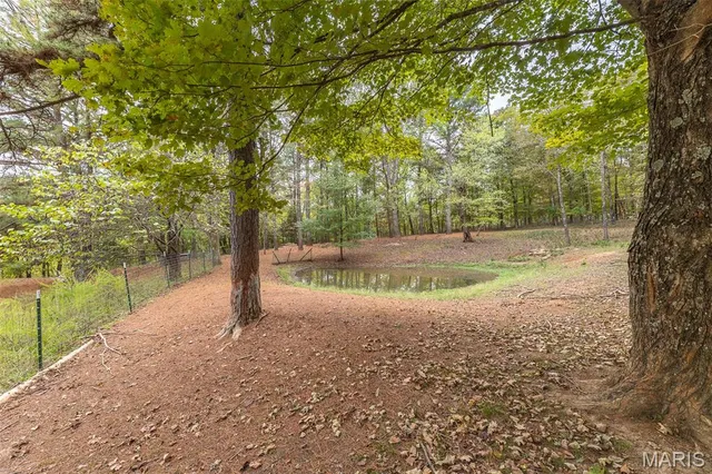 $345,000 | 477 Wayne 335, Patterson, MO 63956