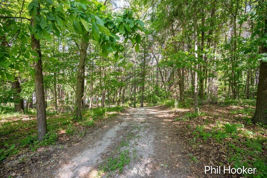 996 Prairie Creek Road Ionia, MI 48846 - Photo 24 of 38 Gallery Image 24