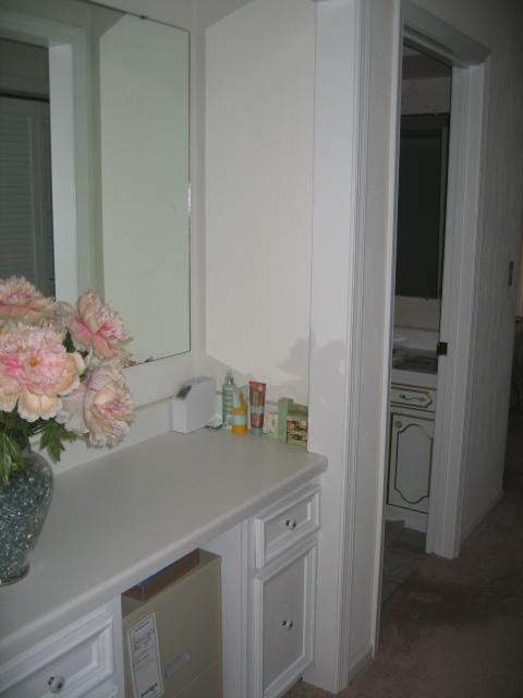 6273 Smokey Ridge Road Roanoke, VA 24018 - Photo 12 of 39 Vanity in Master Suite