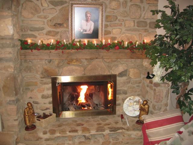 6273 Smokey Ridge Road Roanoke, VA 24018 - Photo 6 of 39 Fireplace - Nice Gas Logs