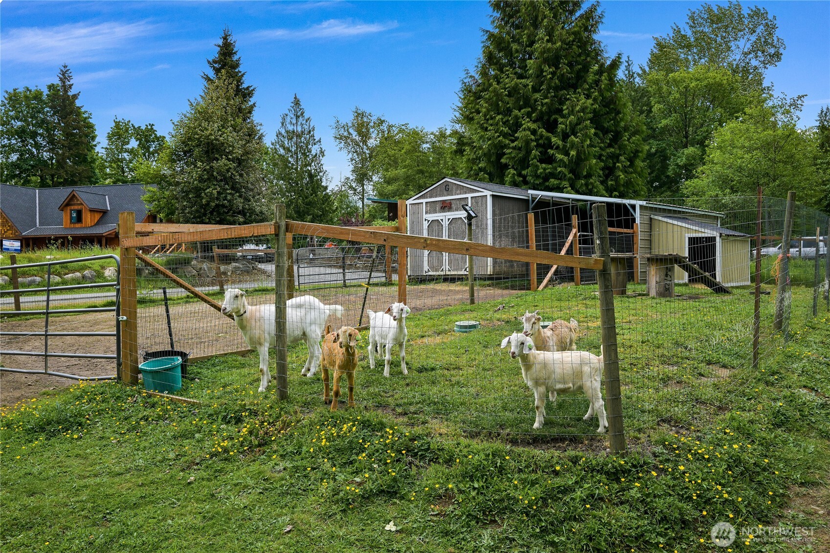 9954 Peace Road Blaine, WA 98230 - Photo 32 of 38