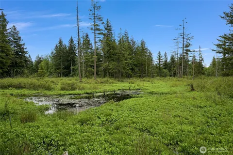 $875,000 | 9954 Peace Road, Blaine, WA 98230