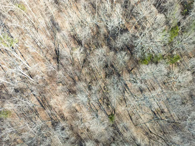 $650,000 | 11438 County Road 91, Bryant, AL 35958