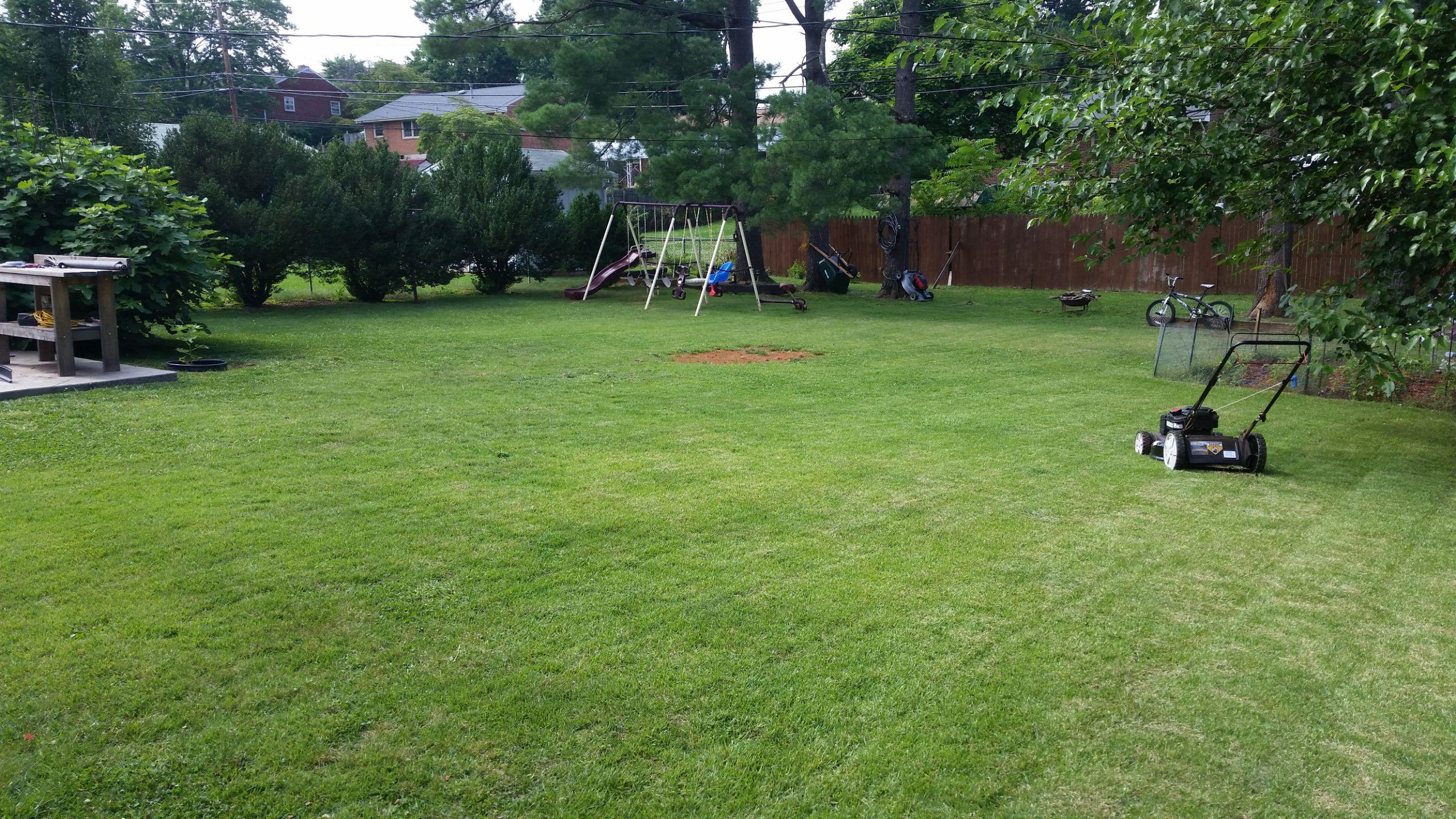 154 Frontier Road Northeast Roanoke, VA 24012 - Photo 5 of 19 Backyard