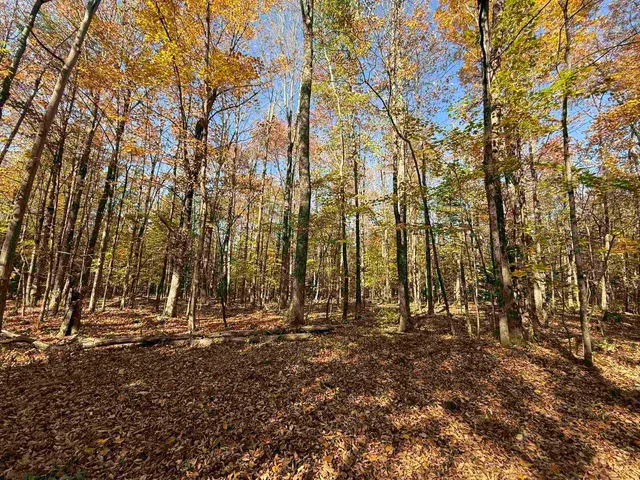 $140,000 | 1414 Collins Mill Road, Newport Town, VT 05857