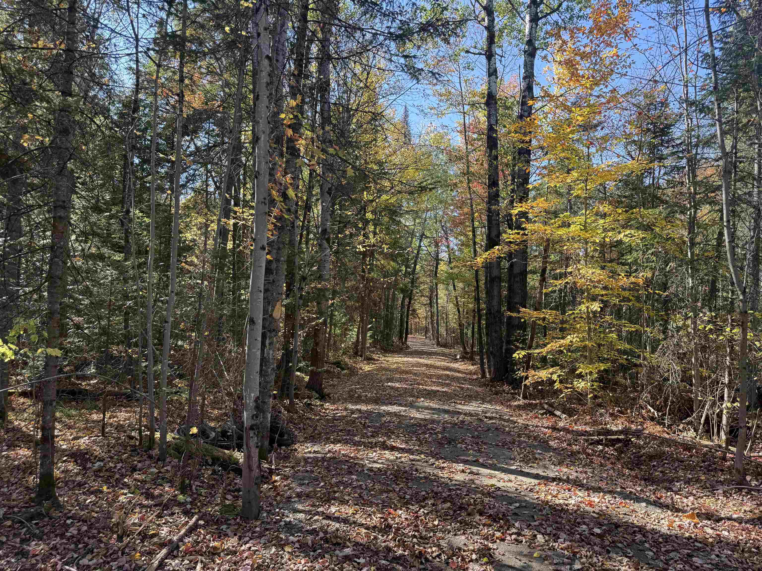 1414 Collins Mill Road Newport Town, VT 05857 - Photo 11 of 36