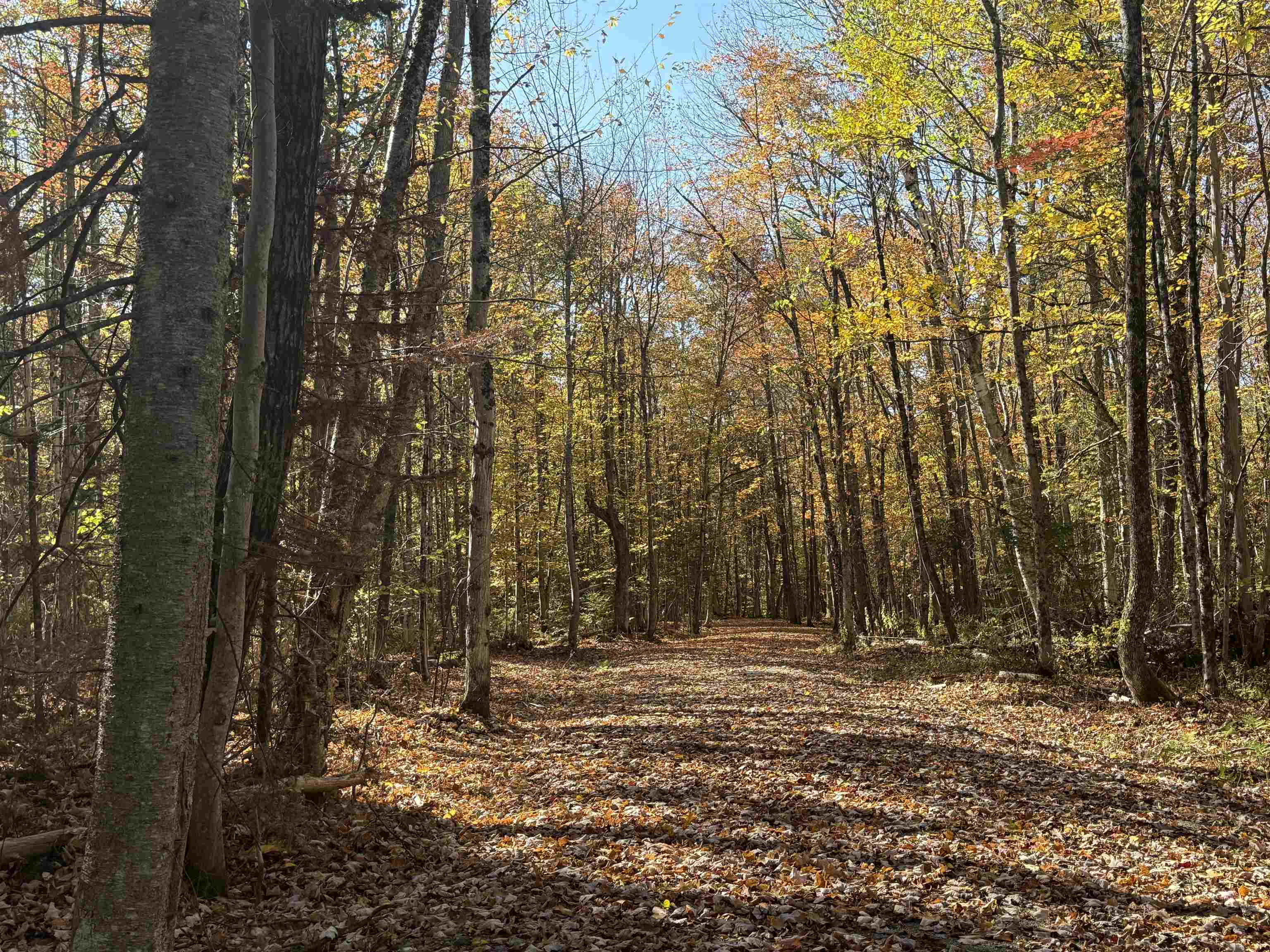 1414 Collins Mill Road Newport Town, VT 05857 - Photo 13 of 36