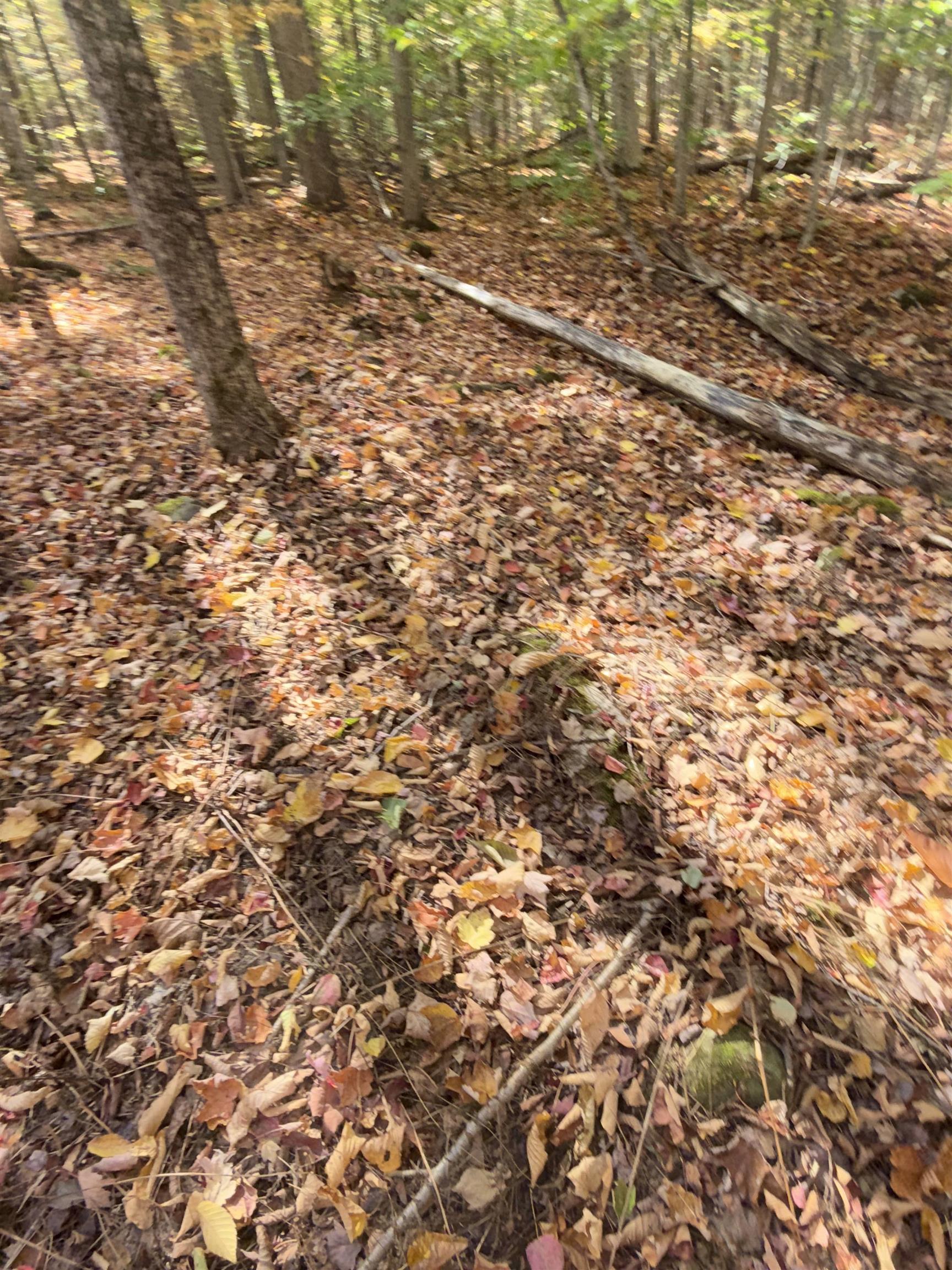 1414 Collins Mill Road Newport Town, VT 05857 - Photo 24 of 36