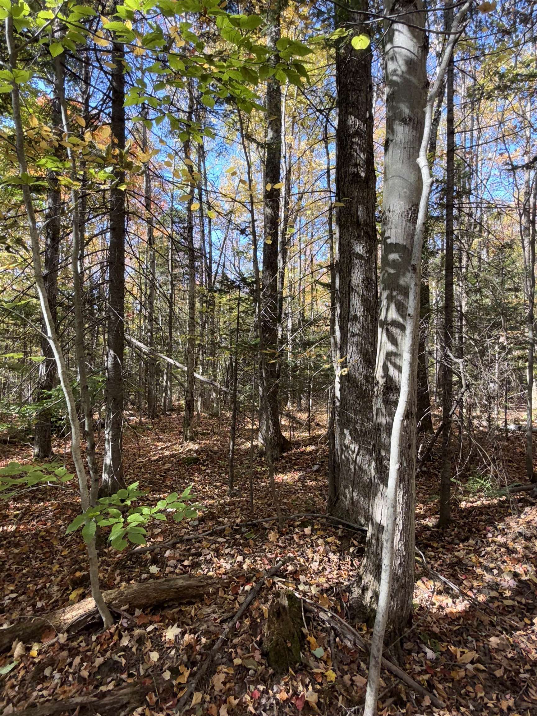 1414 Collins Mill Road Newport Town, VT 05857 - Photo 25 of 36