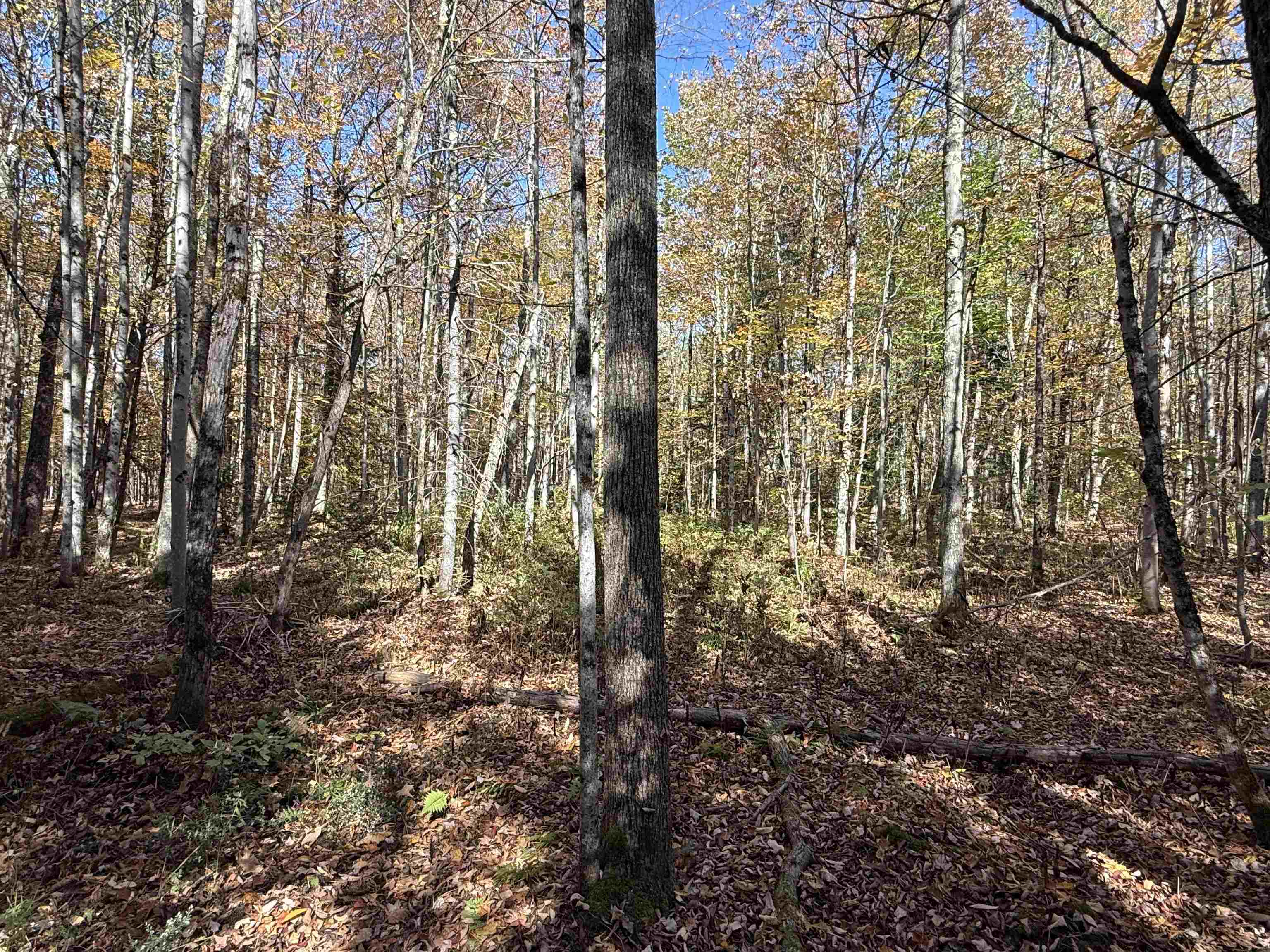 1414 Collins Mill Road Newport Town, VT 05857 - Photo 28 of 36