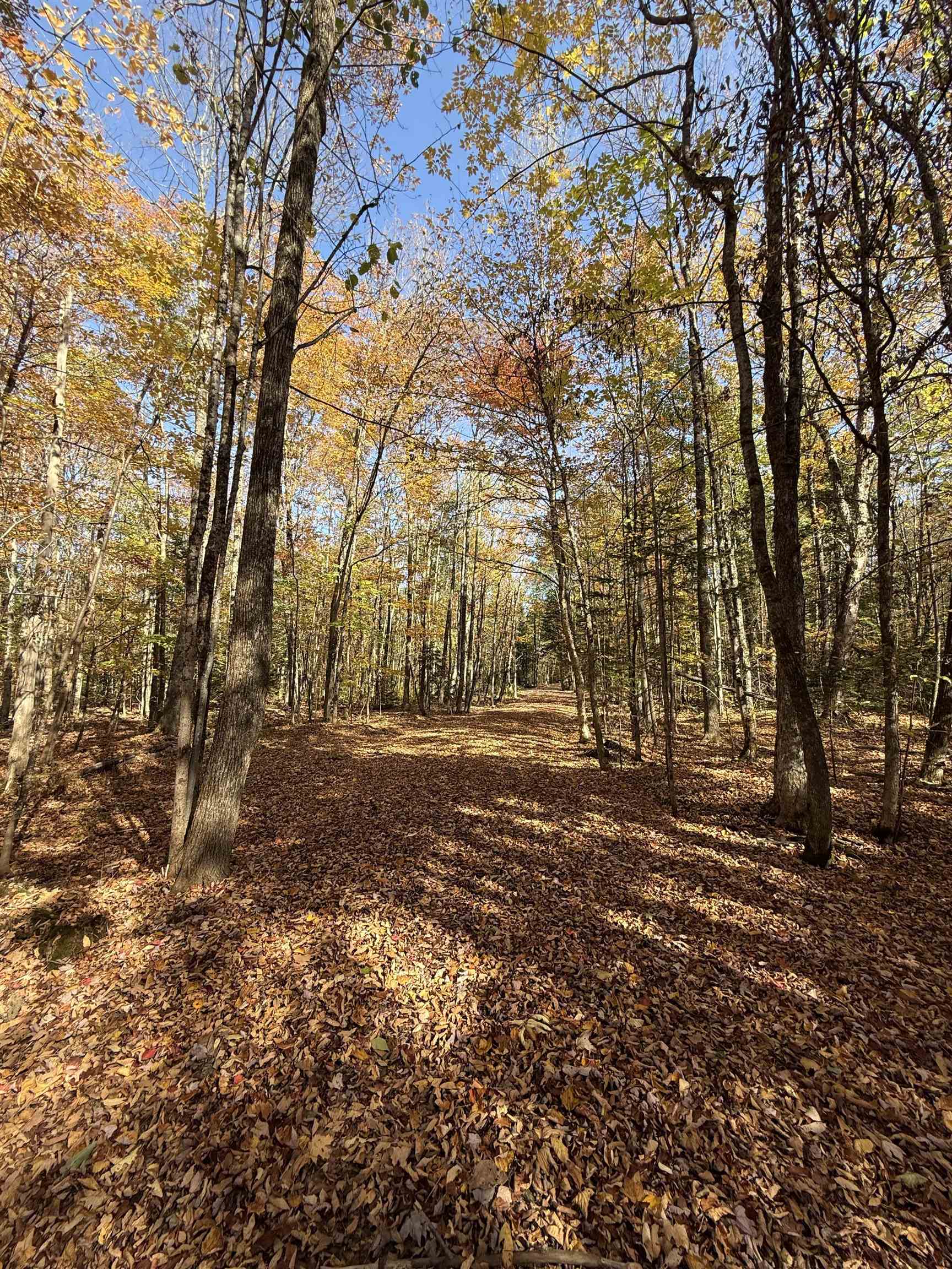 1414 Collins Mill Road Newport Town, VT 05857 - Photo 30 of 36