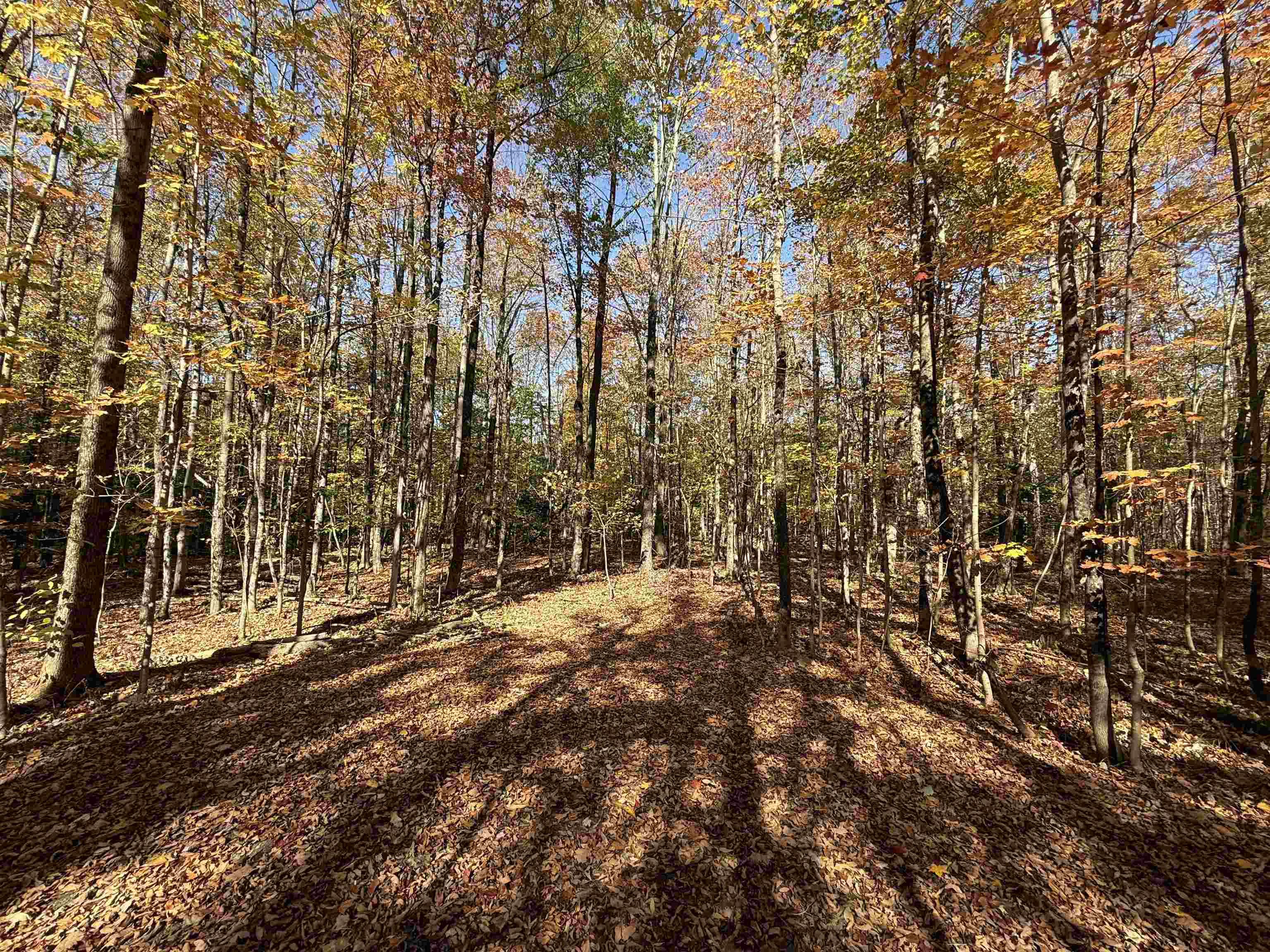 1414 Collins Mill Road Newport Town, VT 05857 - Photo 31 of 36