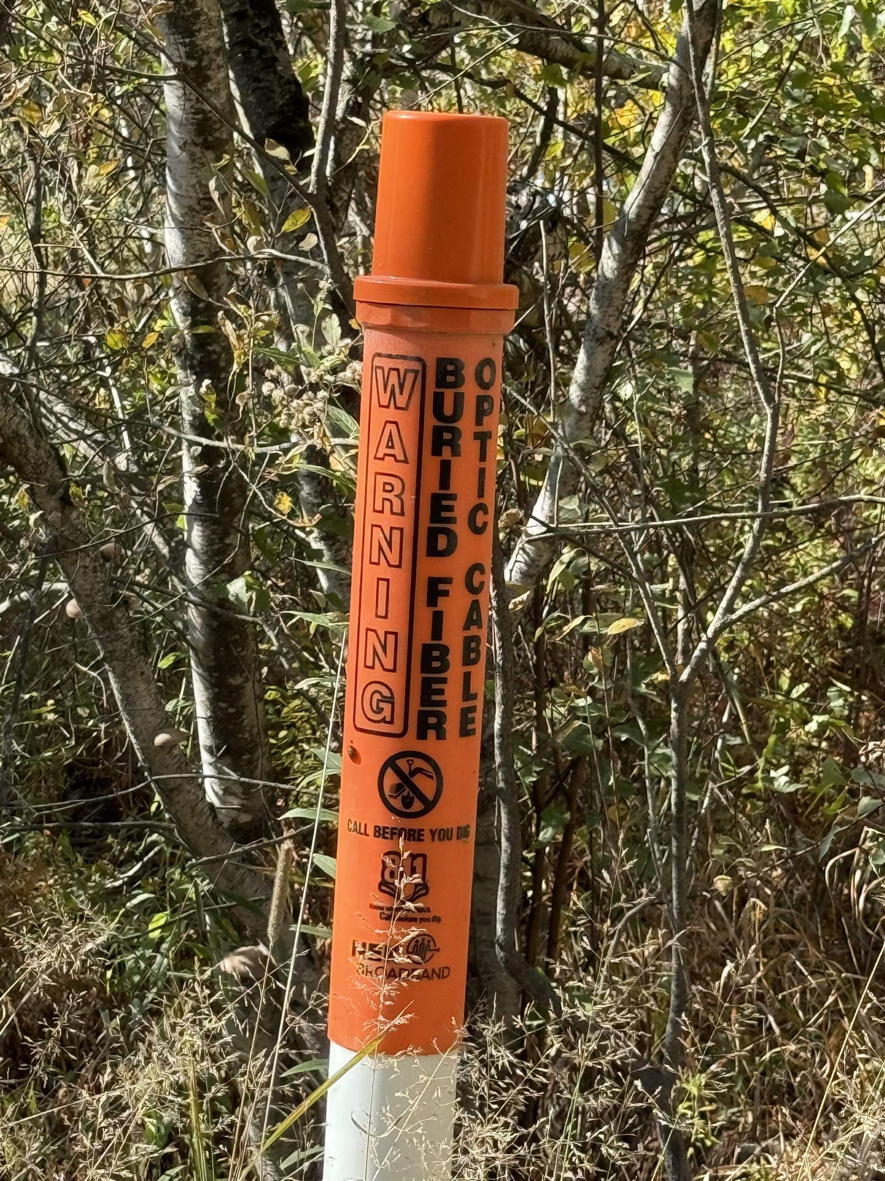 1414 Collins Mill Road Newport Town, VT 05857 - Photo 33 of 36