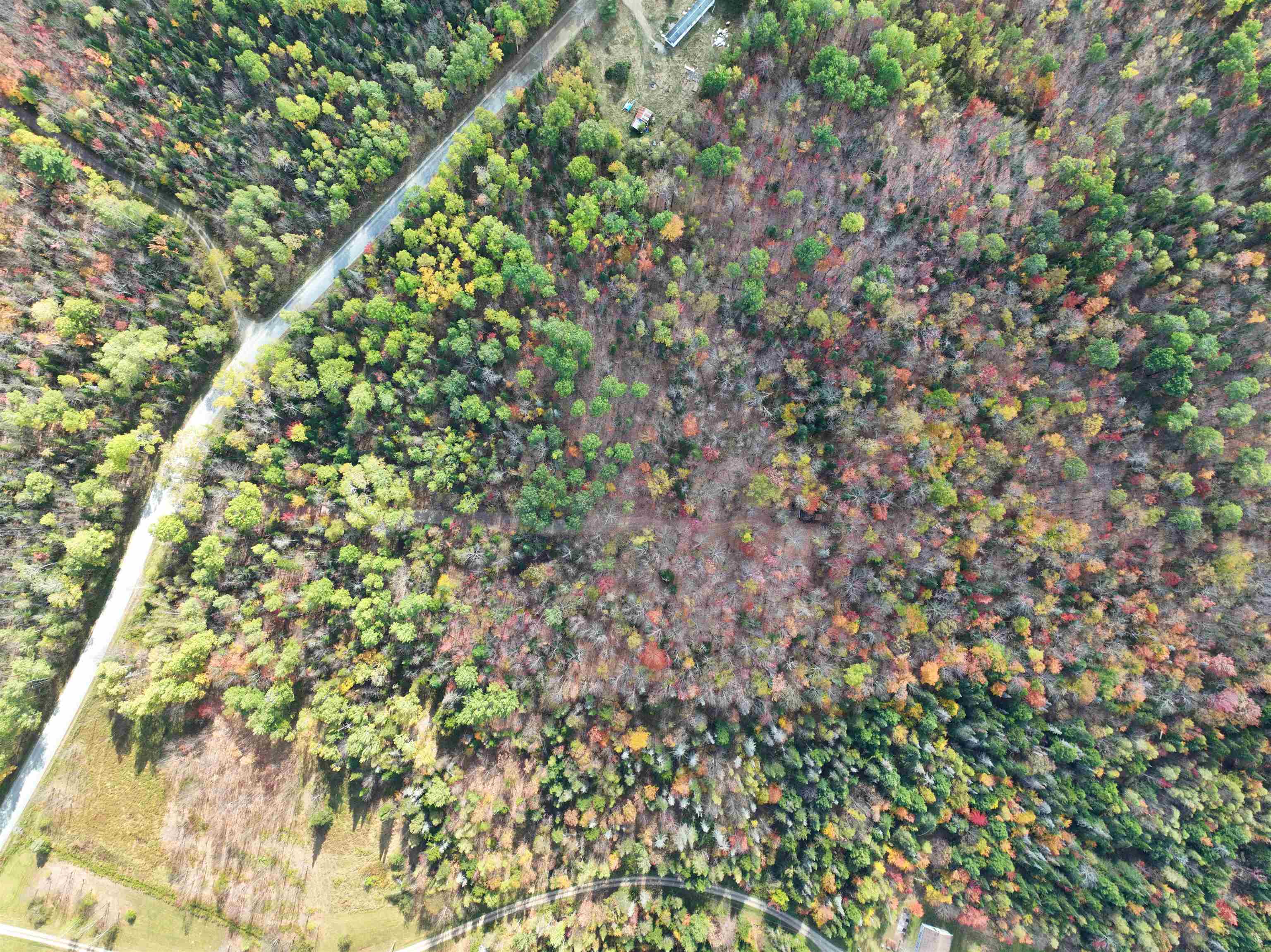 1414 Collins Mill Road Newport Town, VT 05857 - Photo 7 of 36