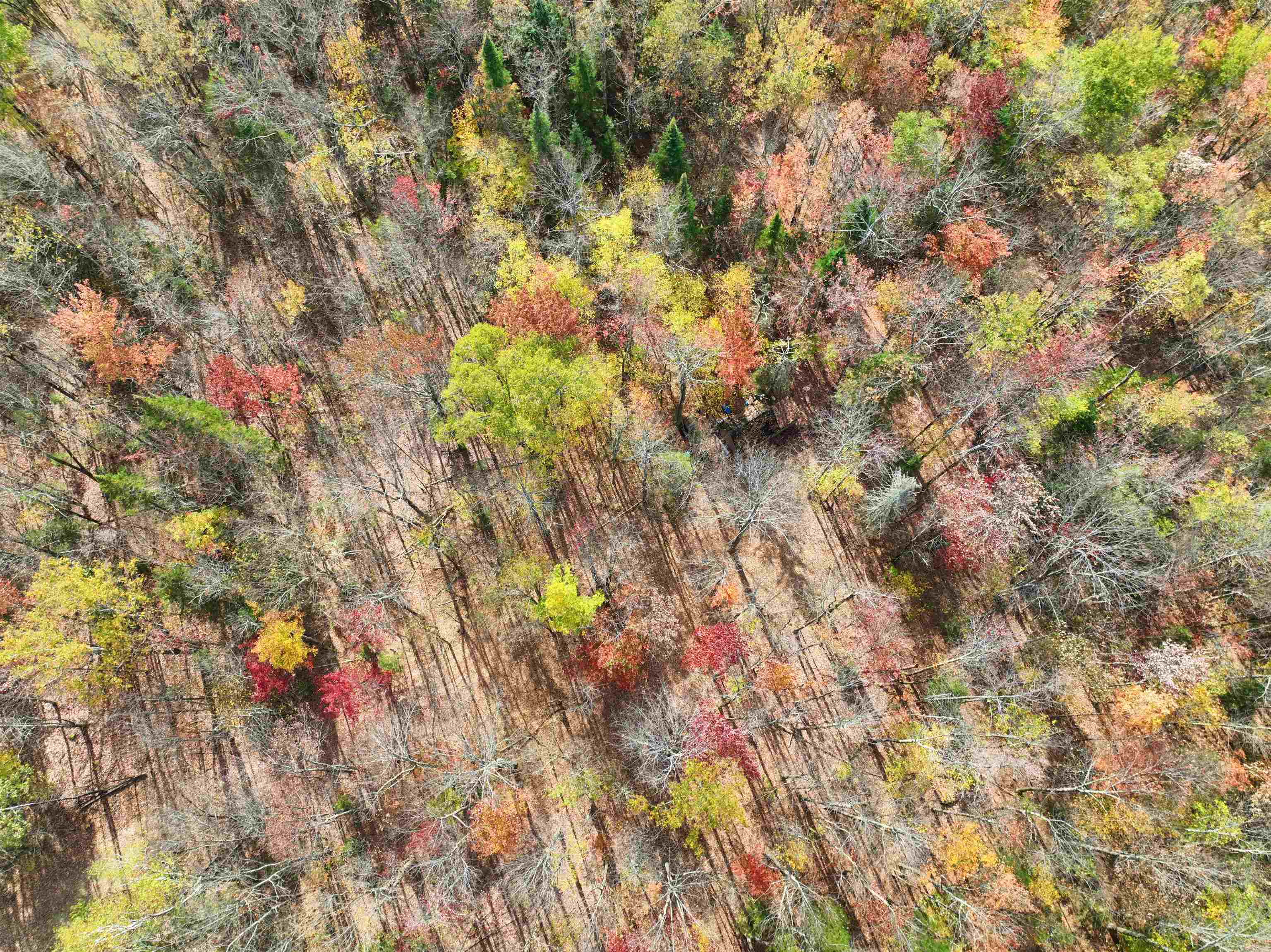 1414 Collins Mill Road Newport Town, VT 05857 - Photo 8 of 36